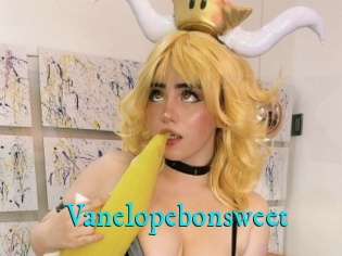 Vanelopebonsweet