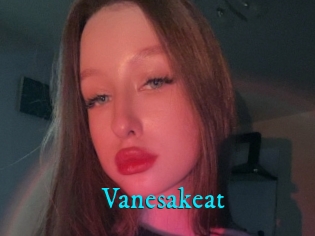 Vanesakeat