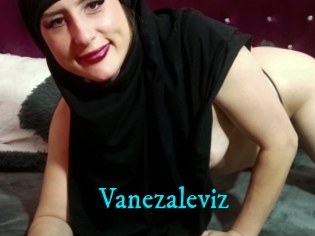 Vanezaleviz