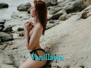 Vanillafox