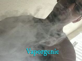 Vapor_genie