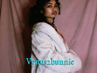 Venus2bunnie