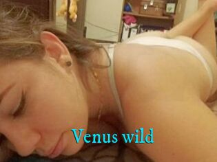 Venus_wild