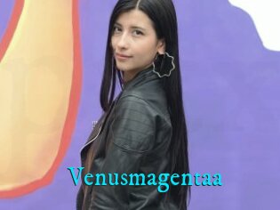 Venusmagentaa