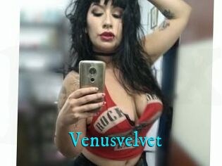 Venusvelvet