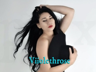 Viiolethrose