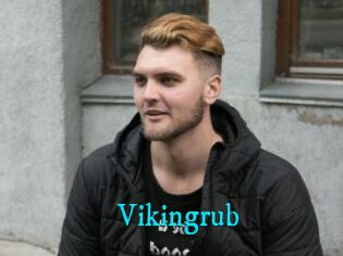 Vikingrub