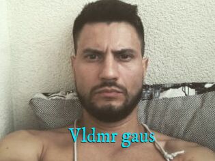 Vldmr_gaus