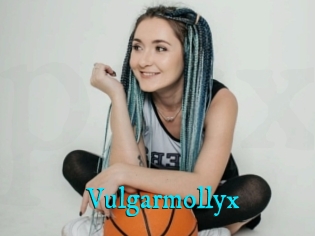 Vulgarmollyx