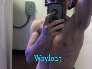 Waylo23