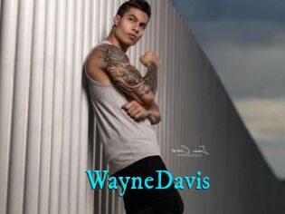 WayneDavis