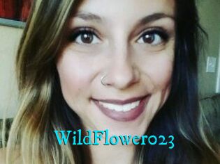 WildFlower023