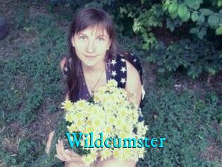 Wildcumster