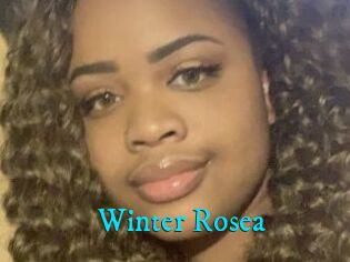 Winter_Rosea