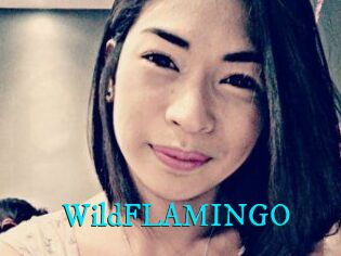 WildFLAMINGO