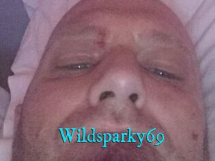 Wildsparky69