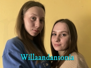 Willaandantonia