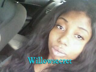 Willow_secret