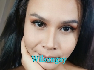 Wilsongay