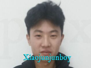 Xiaojunjunboy