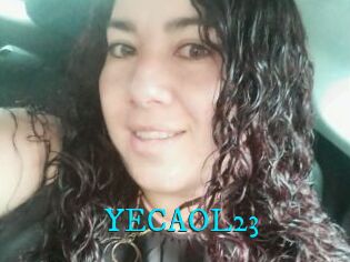 YECAOL23