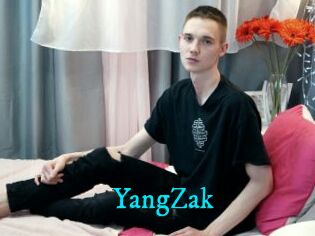 YangZak