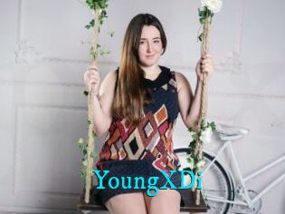 YoungXDi