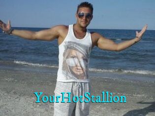 YourHotStallion