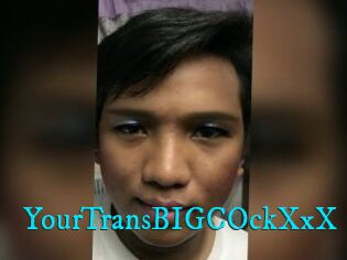 YourTransBIGCOckXxX