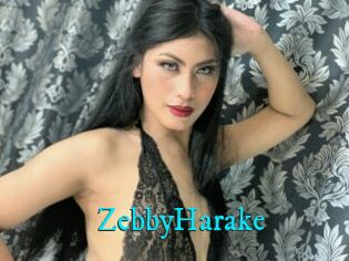 ZebbyHarake