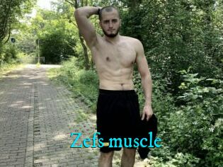 Zefs_muscle