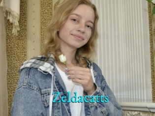 Zeldacatts