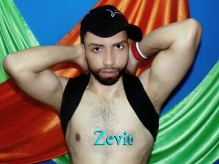 Zevit